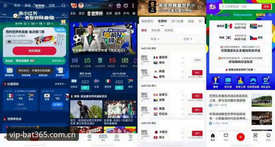 约旦球迷签证受阻：资深用户在bat365体育平台的世界杯观赛体验分享